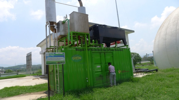 Biogas Generator/Generating Set Co-Generation Unit Power Plant