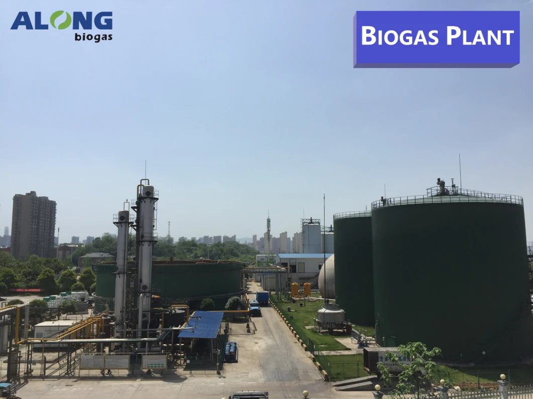 Biogas Project-Biogas Power Plant